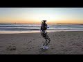 When robot has a life - THEMIS, Sea-MIS