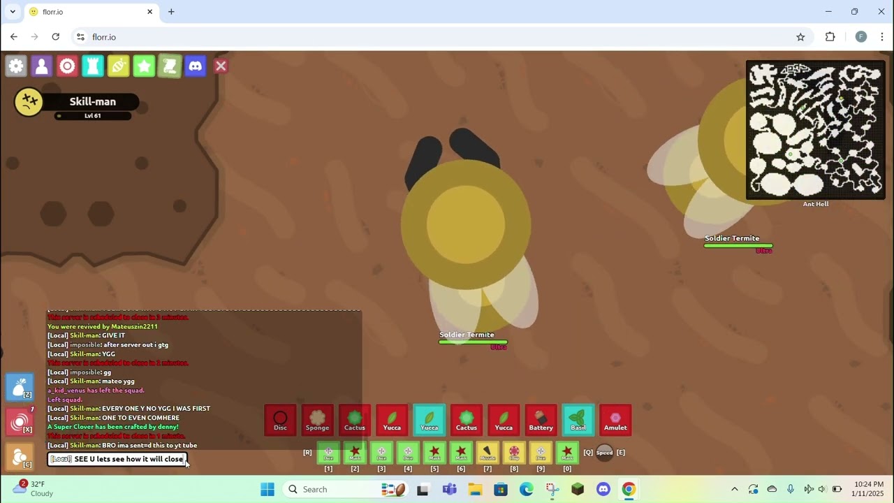 Florr io Grind ant hell 1