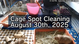 Cage Spot Cleaning - August 30th 2025 [ft. Oreo, Sprite, Willy \u0026 Wooly]