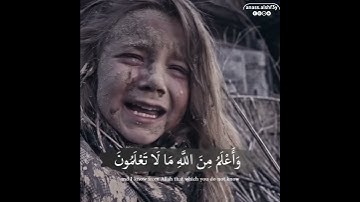 قال إنما أشكوا بثي وحزني إلي الله 😭💔 | حالات واتساب دينيه | القارئ انس الشافعي