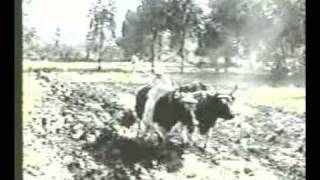 Video thumbnail of "Jose de Molina - 04 - Levantate campesino"