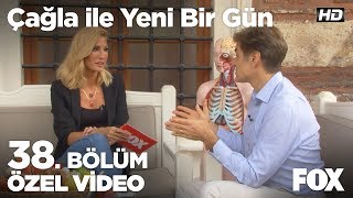 Prof Dr Mehmet Özden Sağlıklı Beslenerek Ömür Uzatmanın Yolları