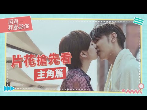 【因為我喜歡你 Falling Into You】汪東城話癆總裁尬面癱郭雪芙 超反差人設帶你了解一下