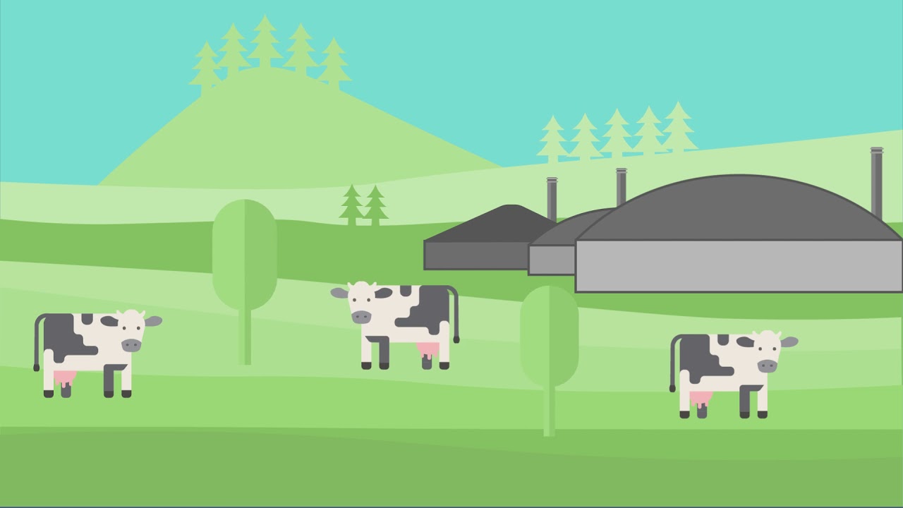 Understanding the variety of carbon projects