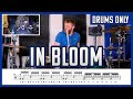 In Bloom - Drums Only + Notation