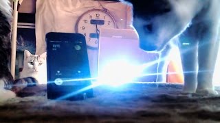 【着信をストロボ光で通知】スマホ用フラッシュベルを作る！