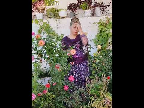 نشمیل سزیده له روخساری من مه روانه 