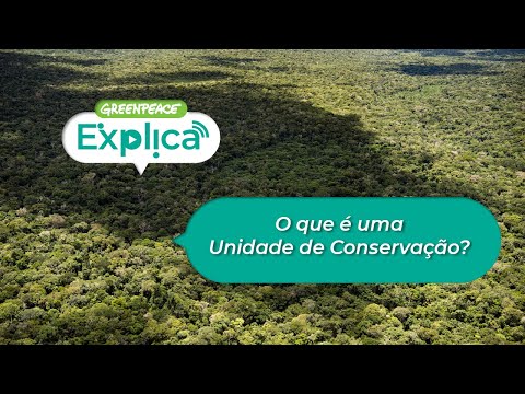 Vídeo: Qual é a melhor definição de conservação?