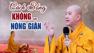 Cách Sống Để Tâm Bớt Nóng Giận Sân Si _ Thầy Thích Pháp Hòa