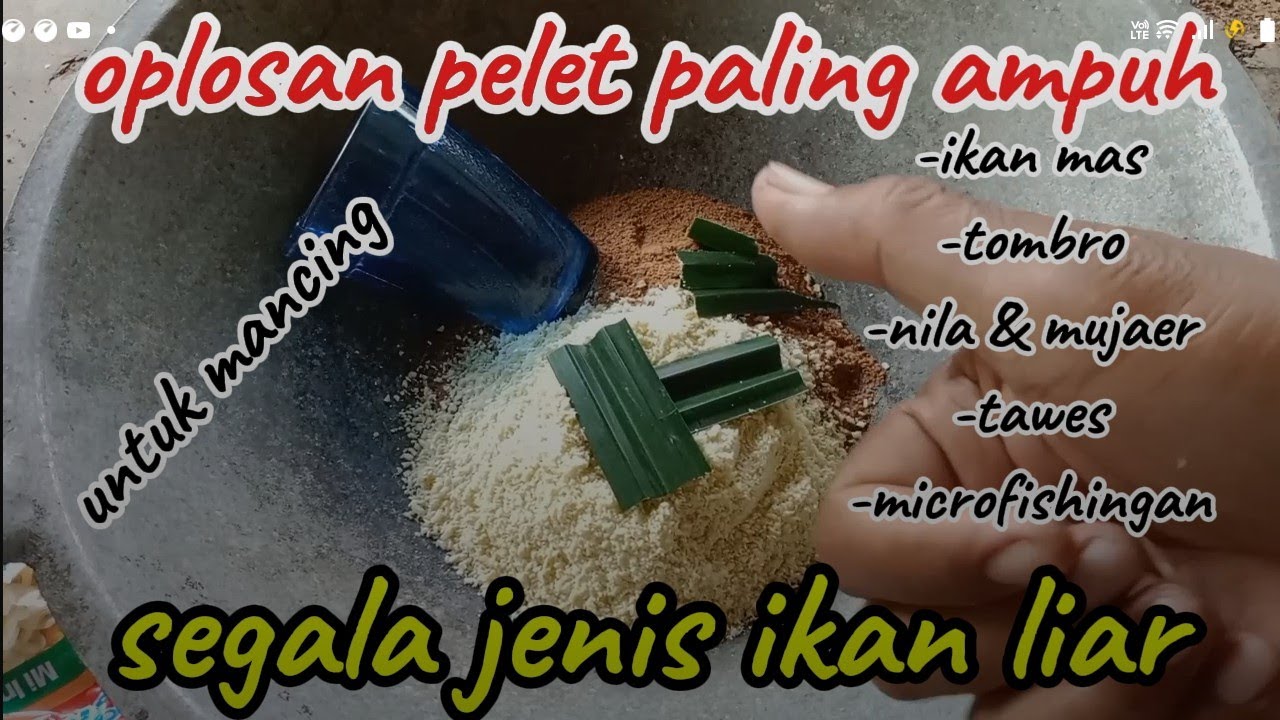 inilah oplosan/campuran pelet paling ampuh untuk mancing segala jenis ikan liar