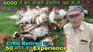 50 Years Experience CIRG Retired Babu Start Goat farming at Mathura