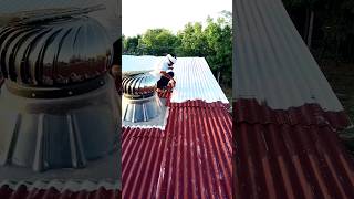 Animals modern House 🏡 work #viralvideo #baffalo #airventilator #viralvideo