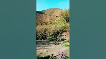 210* ماتيسر من سورة النمل بصوت القارئ #خالد رياض #