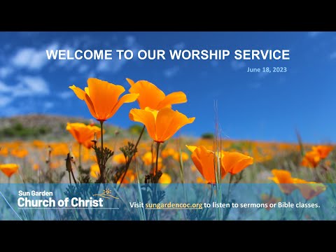 Video preview