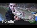 Forellen-Angeln: Die beste Technik im Winter! | Fishing-King.de