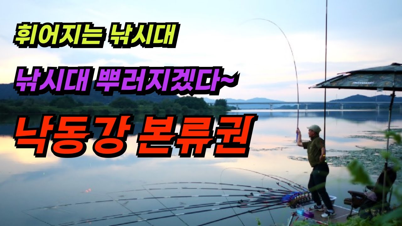 가을이 왔다!! 강붕어 힘이 대단하네~ 끝까지 올리는 찌올림~ 강붕어낚시!