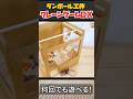 無限に遊べるクレーンゲーム【ダンボール工作】 #おもちゃ #手作り工作 #diy #ゲーム