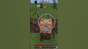 Wither Storm Port 0.3.5 Vs Slenderman!!!