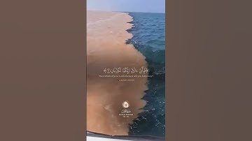سورة الرحمن مرج البحرين يلتقيان بينهما برزخ لا يبغيان سورة الرحمن -ياسر الدوسري -أجمل التلاوات