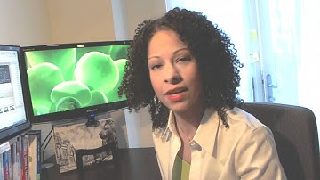 Compare Joomla and WordPress (The story of Steve)