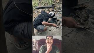 #funny #HaiHuoc #funnyanimals #animalfails #viral #usa