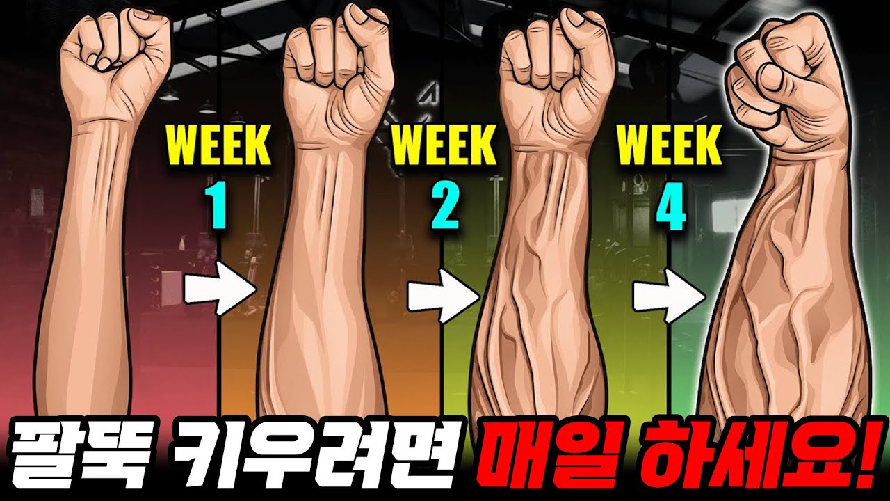일반인이 전완근 (팔뚝근육)을 키우는 가장 빠른 방법!?