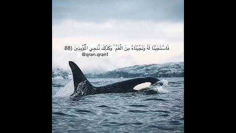 حالات واتساب اسلامية // قران كريم بصوت ماهر المعيقلي // تلاوة جميلة // مقاطع دينية//