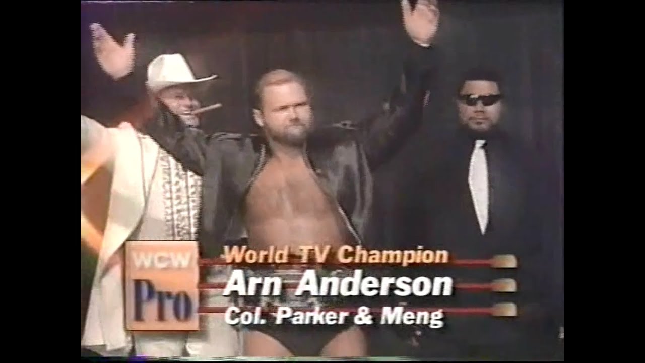 TV Title   Arn Anderson vs Marcus Bagwell   Pro Jan 28th, 1995