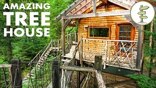 Tiny Tree House with Hanging Bridge Makes Off Grid Living Fun!