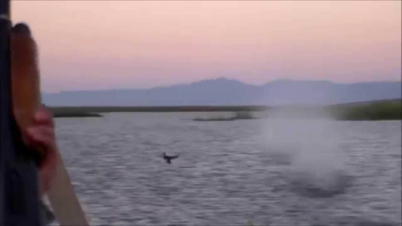 Youth Duck Hunt 2014 YouTube youth-duck-hunt-2014-youtube