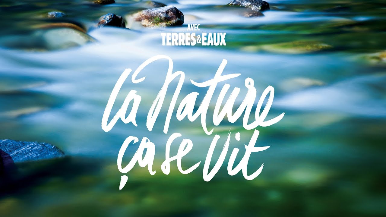 Terres Eaux Territoire Pêche