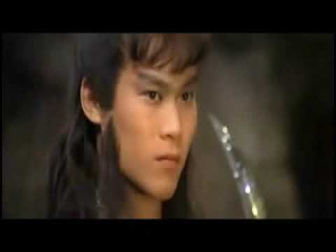 Chinese Super Ninja - Final Fight Against the Elements Gold and Wood