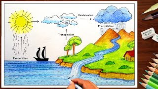 How to draw Water Cycle drawing for beginners ( very easy ) step by step diagram