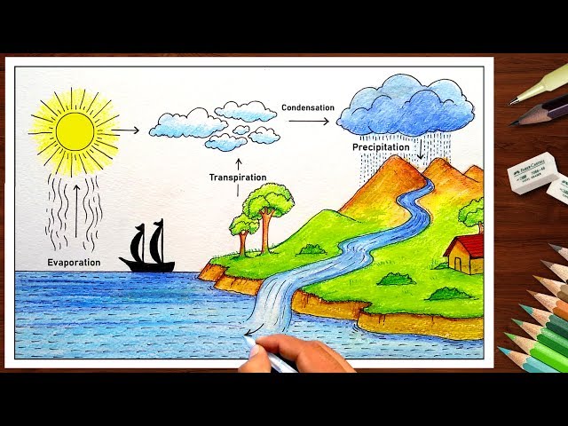 Hydrologic Cycle - Art by Cedar Lee