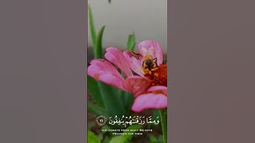 🤍يشرح الصدر🤍القرآن الكريم قصير🤍القارئ: إسلام صبحي.