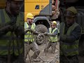 Workers Use Ropes to Save a Logging Truck in Deep Mud #truck #shorts #viral