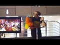 فن الكلام البطني شاب في شرم الشيخ مبدع Ventriloquism
