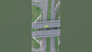 Amazing!. A Bird that Sleeps Whiles Flying the Common Swift! #birds #wildlife #facts