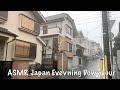 ASMR Japan Evening Downpour Rain Walk 2021.03.02 Ambient Sound Sleep Meditate Relax Tokyo Suburb