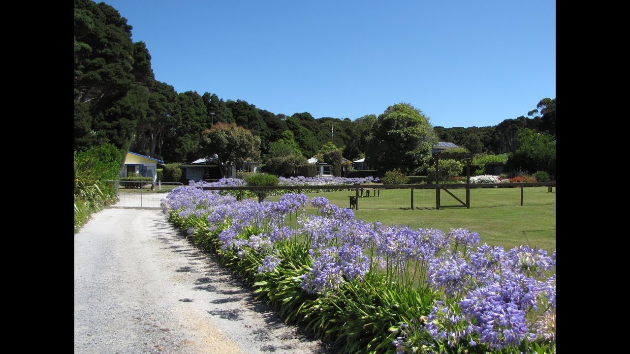 Beachfront Property Tasmania SOLD YouTube