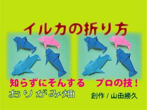 魚折り紙の折り方イルカの作り方 創作 Origami Dolphin Youtube