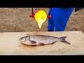 EXPERIMENT: LAVA vs FISH
