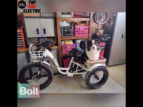 Top Ride Electric Emojo Caddy Pro and Bison Pro Customer Reviews