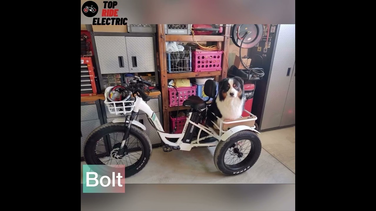 Top Ride Electric Emojo Caddy Pro and Bison Pro Customer Reviews