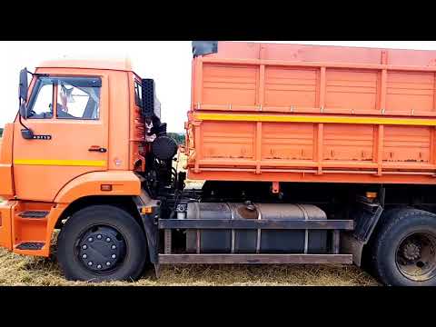 Возим зерно на камазе Возим зерно на камазе