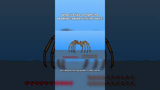 Part 6 of what its like to fight the deadliest spiders in the world!