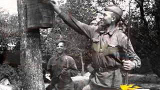 Моя семья в годы войны ролик Моя семья в годы войны ролик