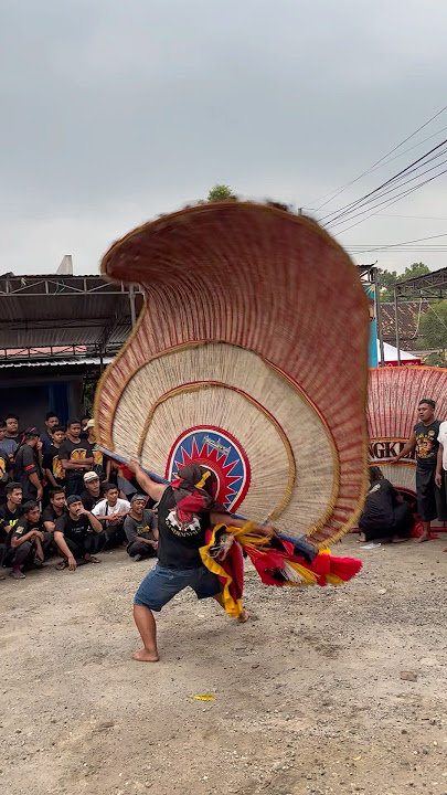 Mengerikan sekali atraksi pembarong reog Ponorogo dadak merak terbesar #short #shorts #shortvideo
