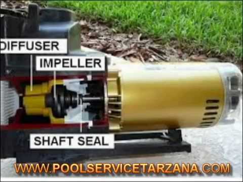 Pool Pump Repair Tarzana - YouTube