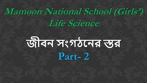 CLASS-9-Life Science-জীবন সংগঠনের স্তর-Part-2